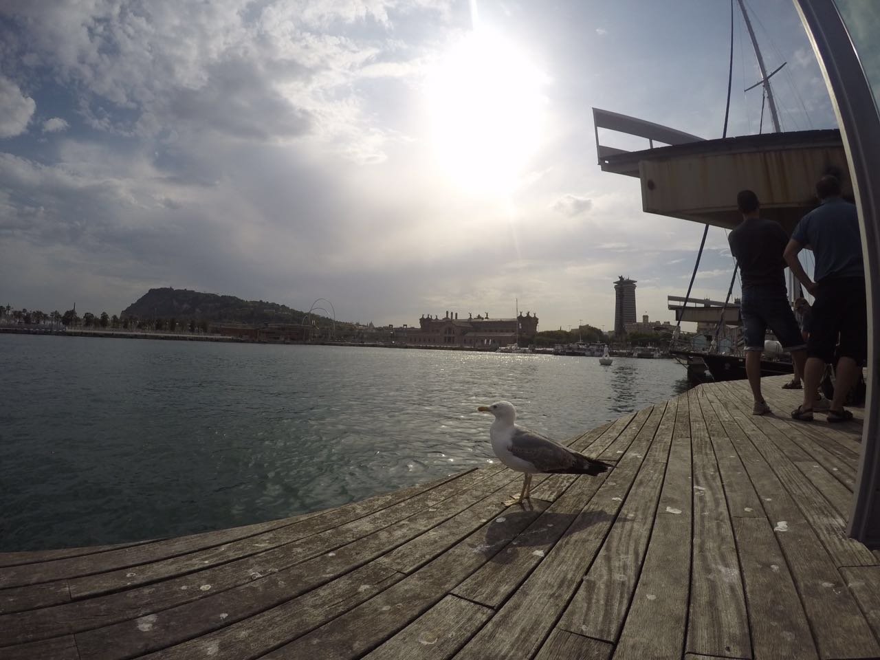 mer397's profile picture. Voice of Reason