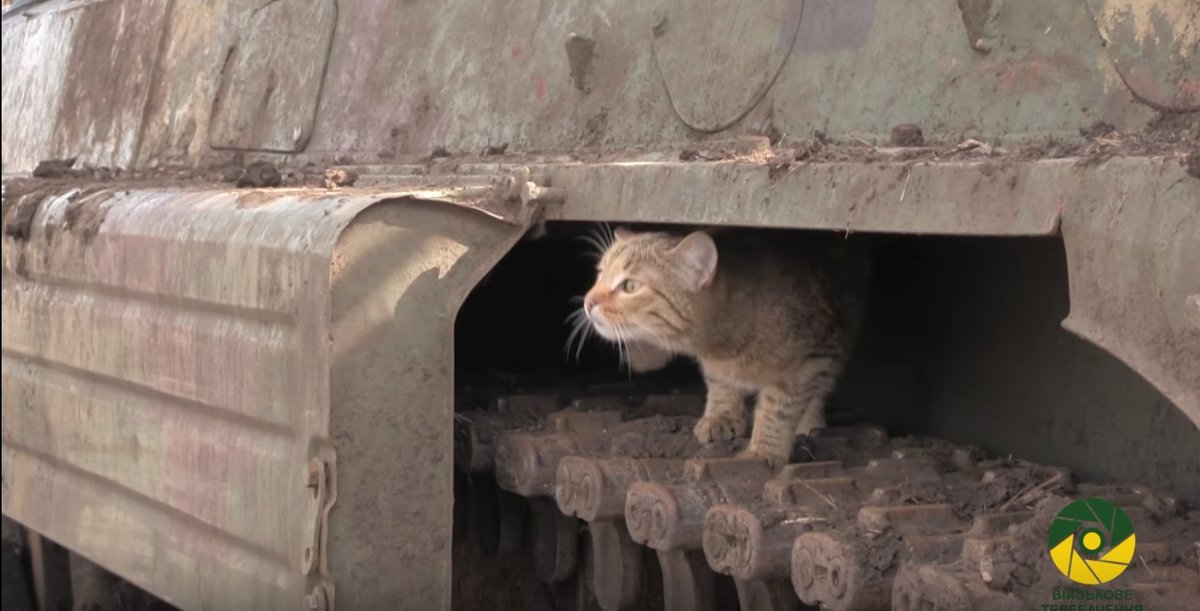 LesSorbiers94's profile picture. 