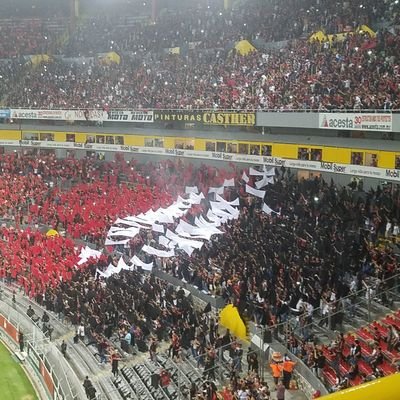 sktlive1's profile picture. 