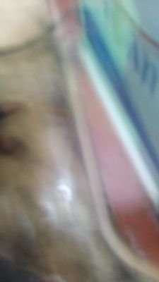 okanlomo1's profile picture. Handsome n loving. Very romantic n passionate about ladies world!.