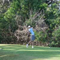 Ethan Snyder (@ethansnyder2020) 's Twitter Profile
