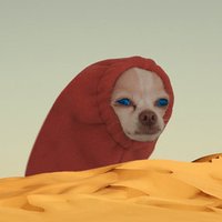 Dank Dune Memes (@dankdunememes) 's Twitter Profile Photo