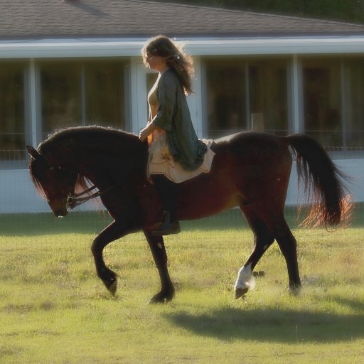 Skyepony's profile picture. Equestrian, artist, weather geek, musician, Phishhead, alchemist, trainer & observer.