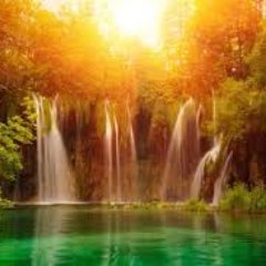 pandeyhimanshu3's profile picture. 