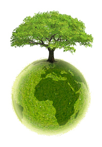 Sawyer Pest Management is an industry leader in the development and implementation of pro-active, preventative, environmentally friendly solutions.