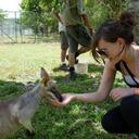 Chloe Alexander - @cheelobean - Twitter