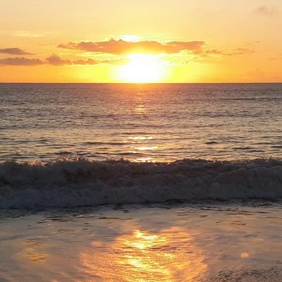 sottolen's profile picture. the best revenge is to be happy