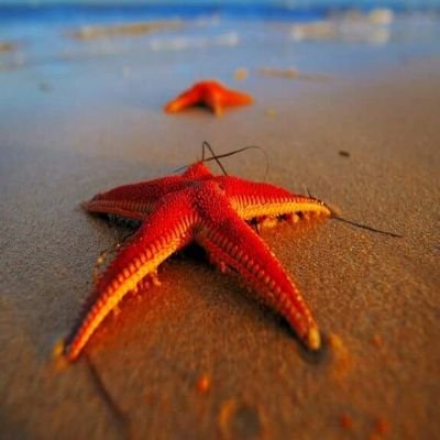 b79565ca95274d6's profile picture. own business