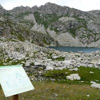 visitsort (@somriusort) 's Twitter Profile