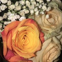 ريومه (@bmjmovzujgbak0s) Twitter profile photo