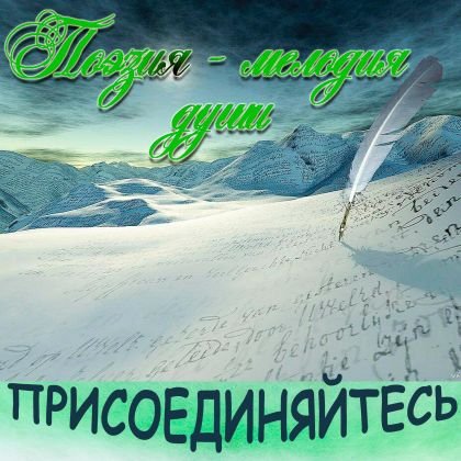 EvgeniyKamnev's profile picture. #взаимныйфоллховинг #взаимнаяподписка