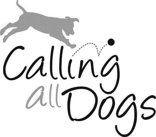 Training solution center located in SLC, Utah. Offering solutions for behavior modification, nutrition, doggie daycare and more!