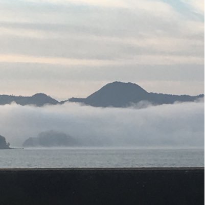 あるグループと出会いバイナリーオプションを最近始めてプラス収支を続けています。興味があればいつでも連絡どうぞ!↓↓
