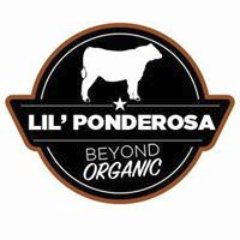 Beyond Organic Grass Fed Beef: From our ranch to your home