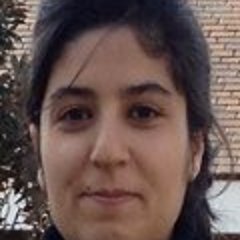 aysegul_u_ucar's profile picture. Fırat Üniversitesi/ Professor Mechatronics Engineering-Firat University, Professor Artificial Intelligence and Robotics, Autonomous Technologies and Vision