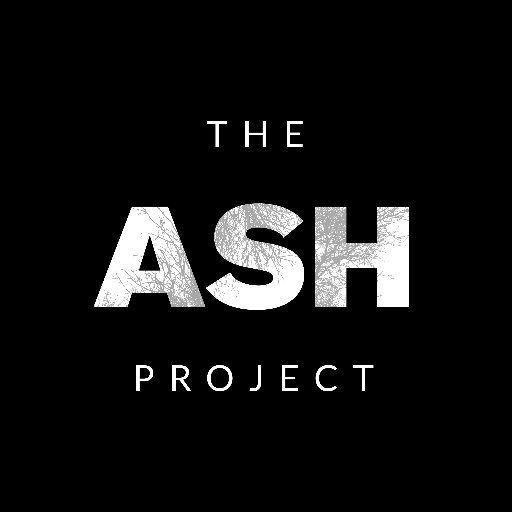 The Ash Project is an artist led response to the effects of Ash Dieback in Kent, sculptural work, ash archive, photographic evidence and artists walks