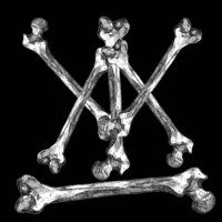 Allerdelavant (@allerdelavantmy) 's Twitter Profile Photo