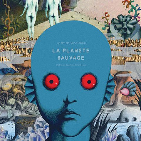 marianvo12's profile picture. 