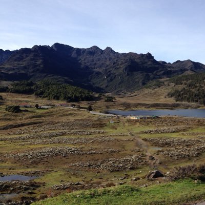 JDGutierrezU's profile picture. Ingeniero, casado, padre 🇻🇪🇺🇾🇨🇱 tigrero y 100% madridista.