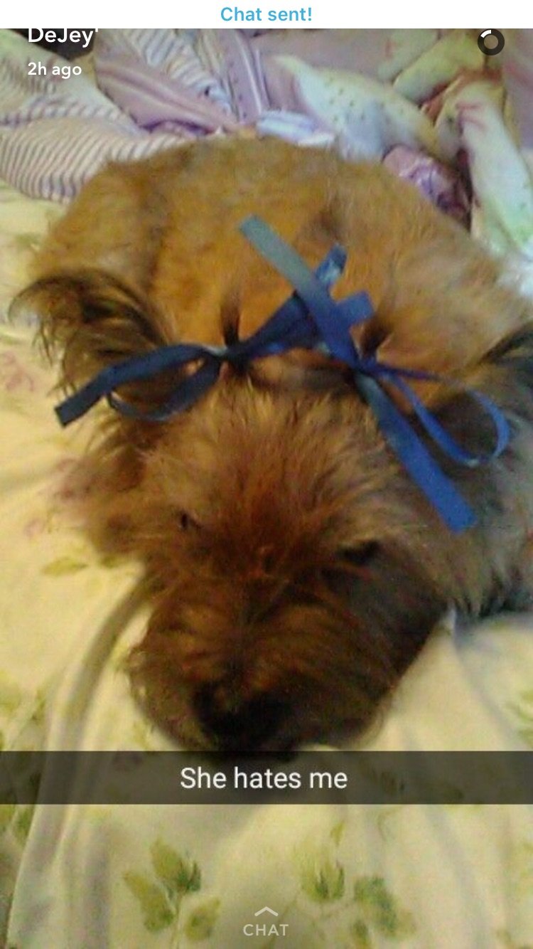 lillie456456's profile picture. ❤️