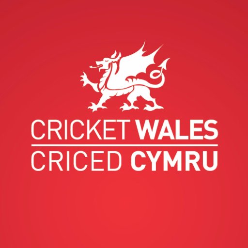 Cricket Wales Boys Profile
