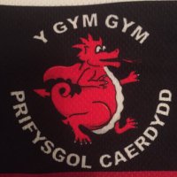 Rygbi Y Gym Gym (@rygbigymgym) 's Twitter Profile Photo