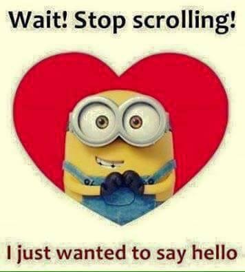 Surgy1's profile picture. 🛵