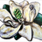 GreenLightNOLA's profile image
