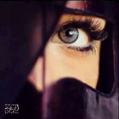 hoda14301's profile picture. ‏‏‏‏‏‏‏
اَلصرَاحہ؛ والصدق؛ والثقہ طريق 
  لاَ يَمر بَهہ اَلا قليَل مِن البشر ♡ 



 الخاص ولد لا أشووفك 😤❌❌ 

%تتابعني اتابعك %