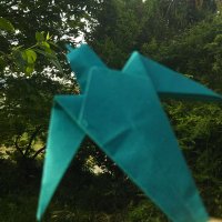 きぬ (@43_kinu) 's Twitter Profile Photo