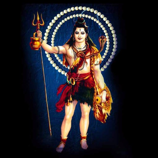 ShankuWb34d3359's profile picture.