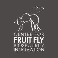 Fruit Fly ITTC (@fruitflyittc) 's Twitter Profile Photo