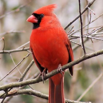 I am a proud NC state employee in Southeast North Carolina
