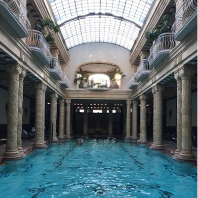 anylanguage040's profile picture. Japanese English French Spanish German Hungarian :)