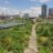 Green Roofs NYC