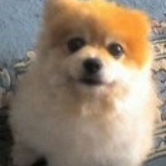 山田 U2yamada Twitter 山田 U2yamada Twitter