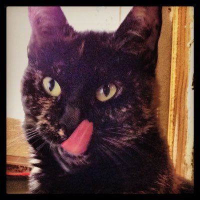 chrisnotryan's profile picture. lurker