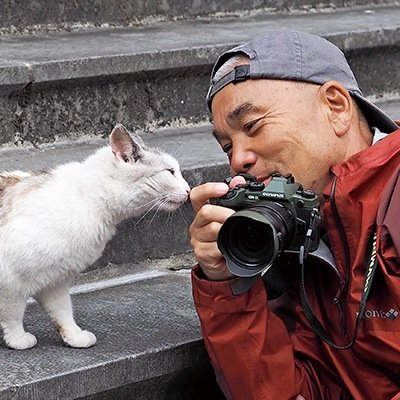 劇場版 岩合光昭の世界ネコ歩き Nekoaruki Movie Twitter