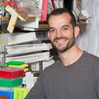 Sam Sternberg (@shsternberg) 's Twitter Profile Photo Sam Sternberg (@shsternberg) 's Twitter Profile Photo
