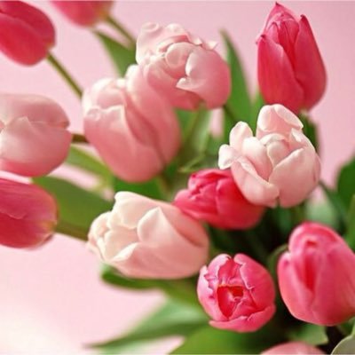 nsr31704504's profile picture. 