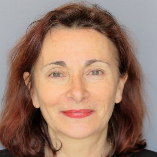 Directrice de recherches en sociologie et en science politique au CEVIPOF  Directrice déléguée du CEVIPOF