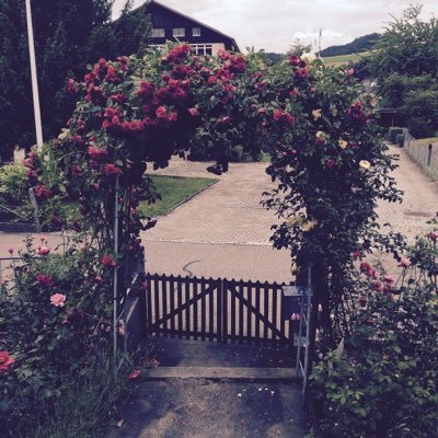 MBloggerin's profile picture. Hey ich bin ModeBloggerin ich werde hier tipps über Mode verbreiten❤✌🏻