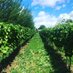 Parvills Farm Epping (@parvillsfarm) Twitter profile photo Parvills Farm Epping (@parvillsfarm) Twitter profile photo