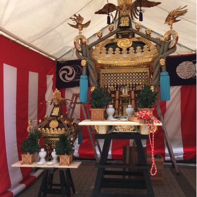 Ammy58681474's profile picture. 