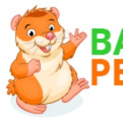 BazookaPets, site de vente en ligne d'alimentation et d'accessoires pour animaux! En plus : Nous vous conseillons et renseignons, par mail ou réseaux sociaux!