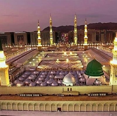 rafiu1433's profile picture. anatomic pathologist