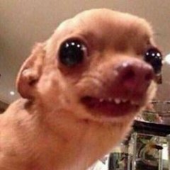 zuccm98's profile picture. Just another dood on the internet who enjoys games & tech.