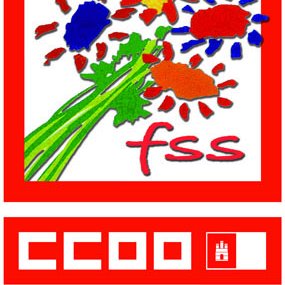 Federación de Sanidad y Sectores Sociosanitarios de CCOO de Castilla-La Mancha