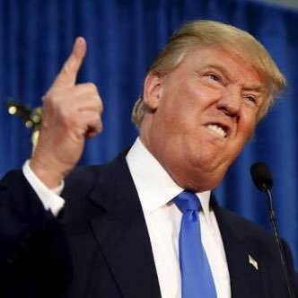 SadTrumpQuotes's profile picture. Tweeting genuine Trump quotes. We'll be here 'till impeachment.