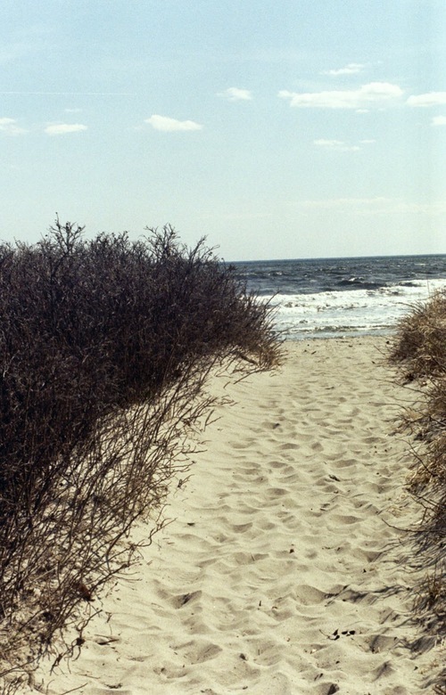 stealthstrick's profile picture. 